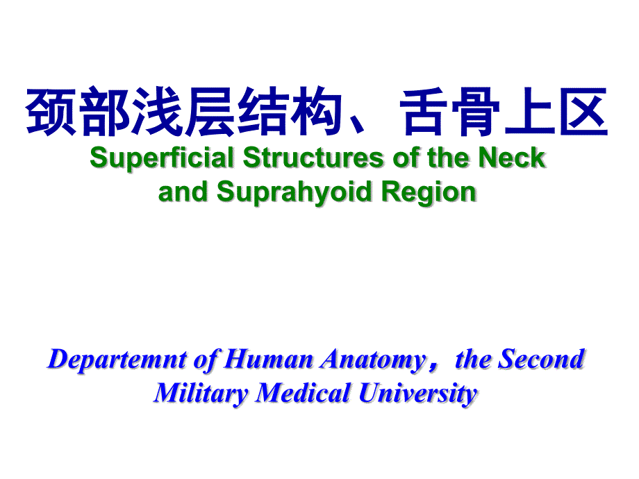 颈前区舌骨上区PPT课件_第2页