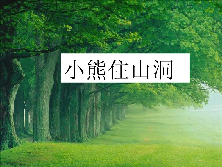 20、《小熊住山洞》课件1_第1页