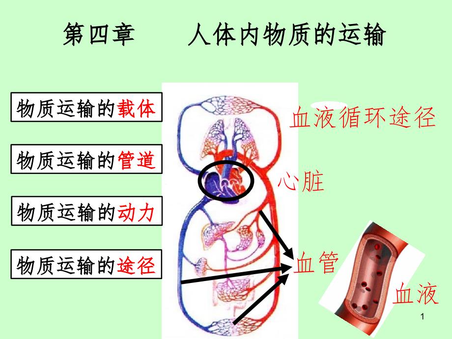 物质运输的途径PPT精品文档_第1页