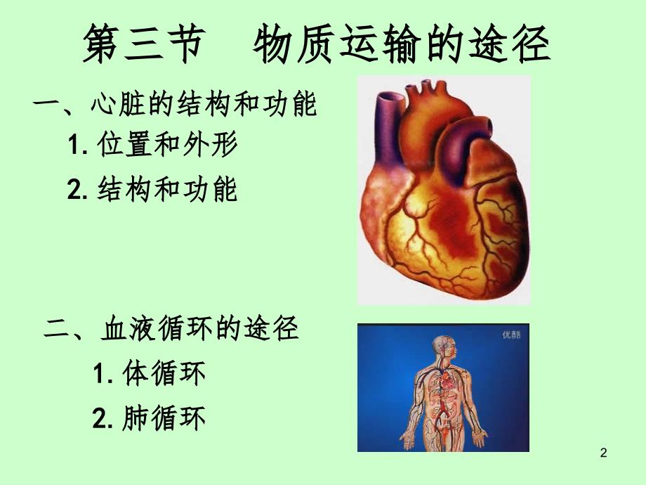 物质运输的途径PPT精品文档_第2页