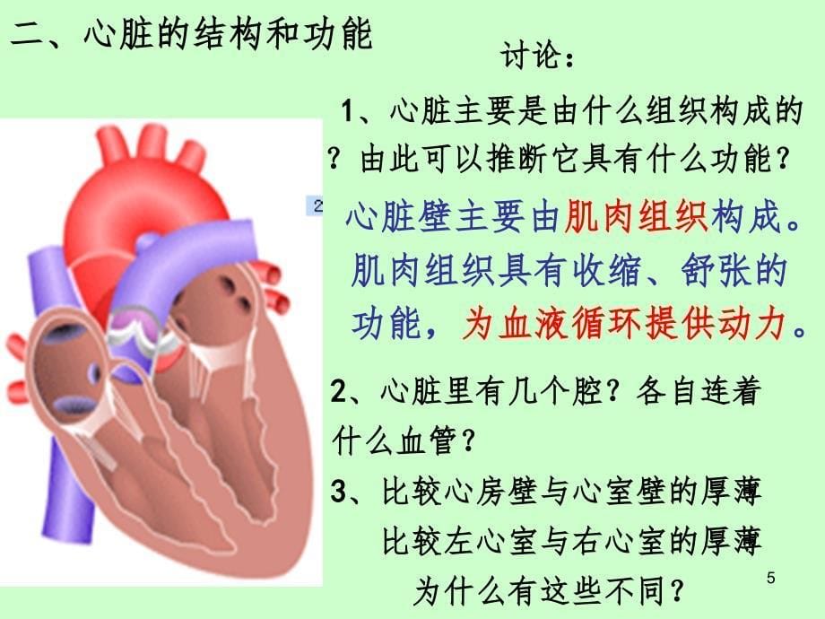 物质运输的途径PPT精品文档_第5页