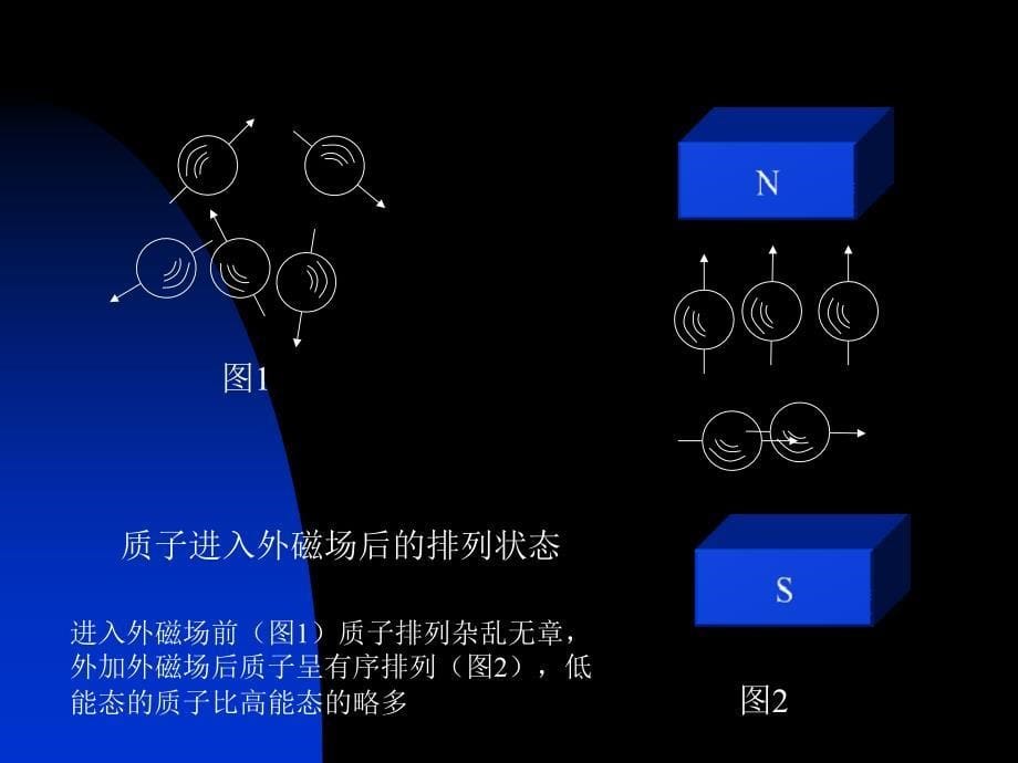 磁共振成像总论课件_第5页