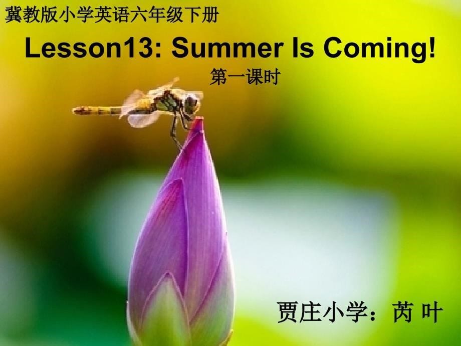 Summeriscoming_第5页