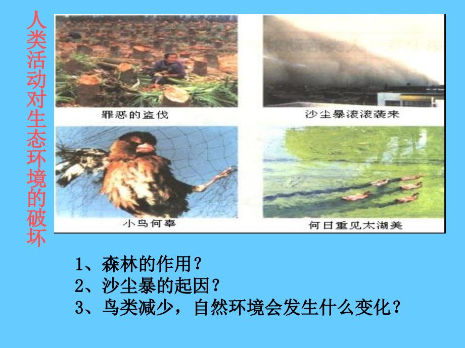 环境污染对生物的影响课件_第4页