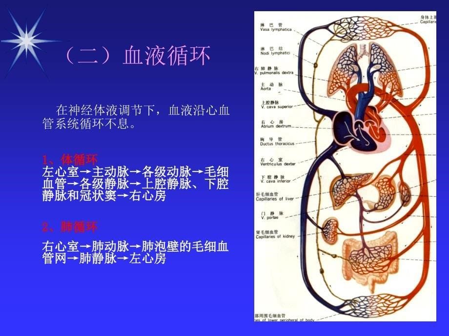 第一节心力衰竭_第5页