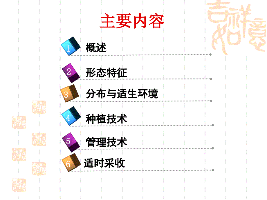 铁皮石斛栽培技术_第2页