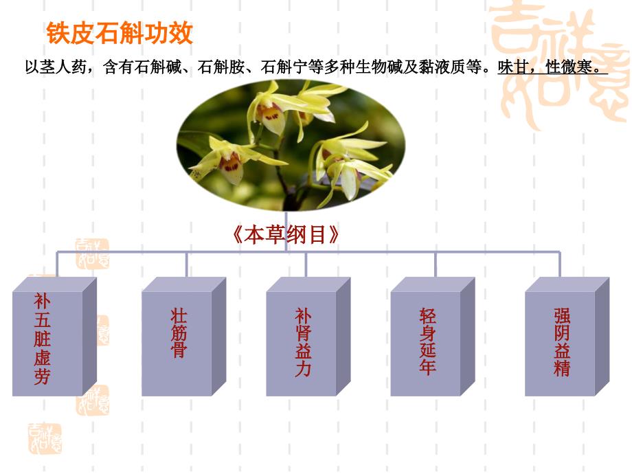 铁皮石斛栽培技术_第4页