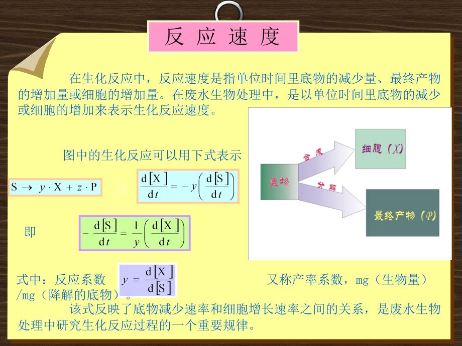 第四章 (4.3)活性污泥反应动力学.ppt_第4页