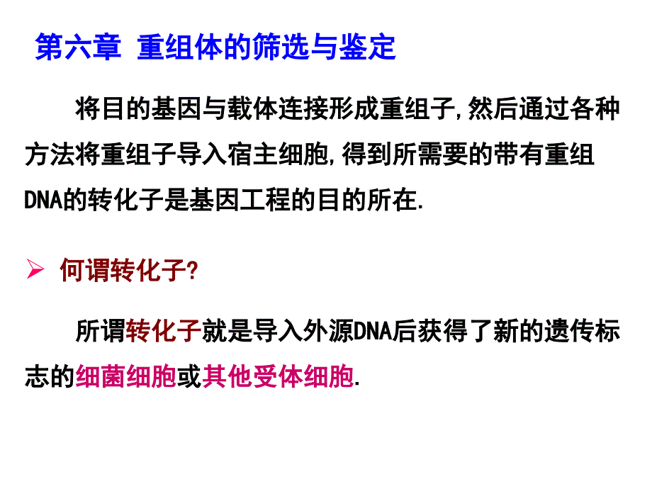 重组体的筛选与鉴定课件_第1页