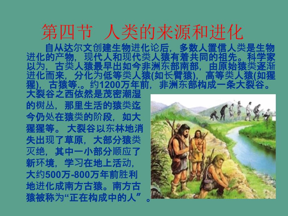 苏教版八年级上册第5单元第十六章第四节人类的起源和进化12张ppt课件_第1页