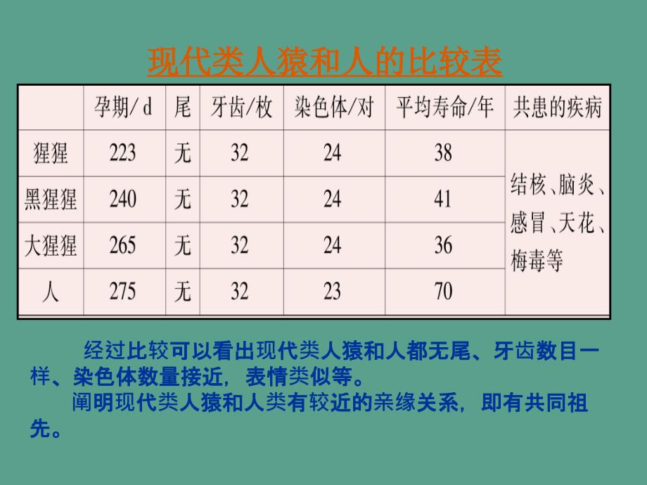 苏教版八年级上册第5单元第十六章第四节人类的起源和进化12张ppt课件_第3页