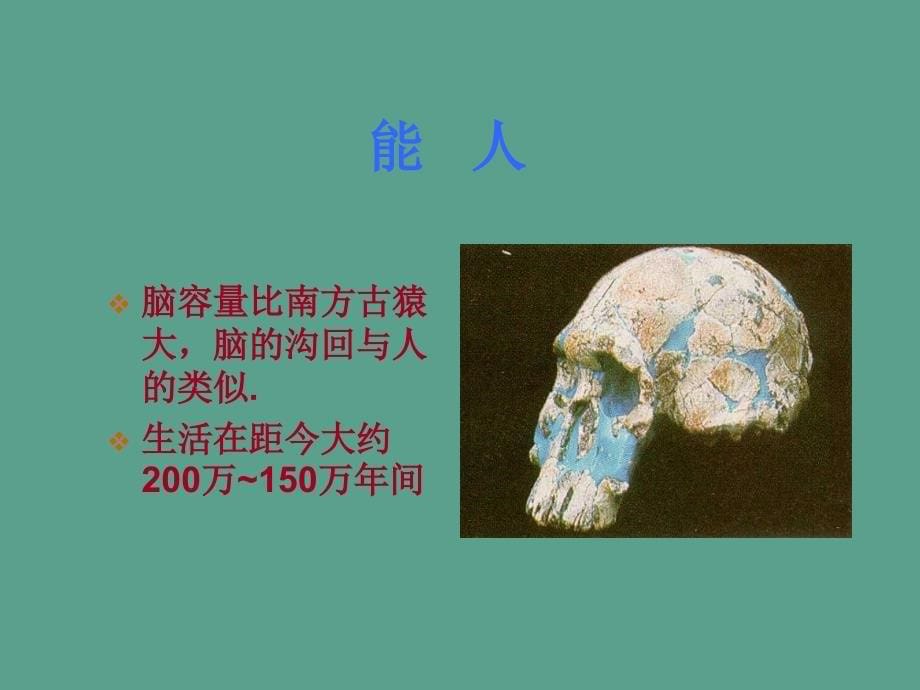 苏教版八年级上册第5单元第十六章第四节人类的起源和进化12张ppt课件_第5页