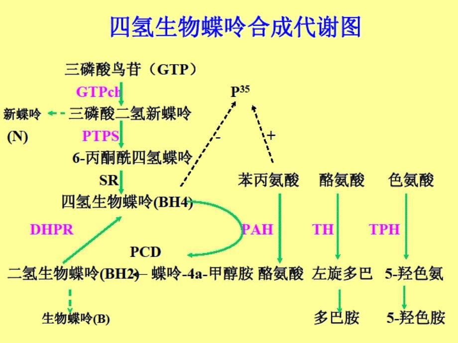 012苯丙酮尿症解析_第5页