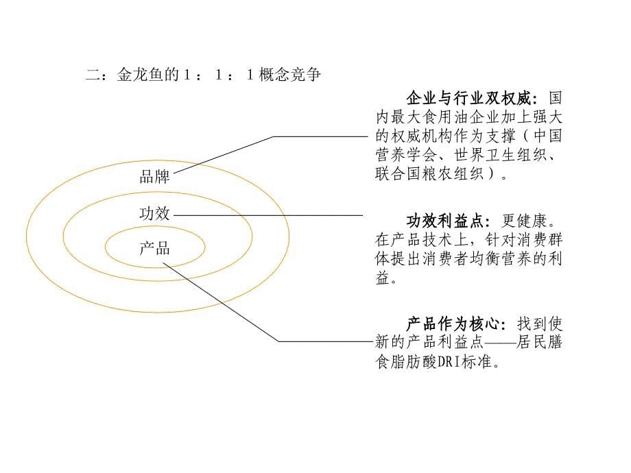 鲁花品牌传播方案_第5页