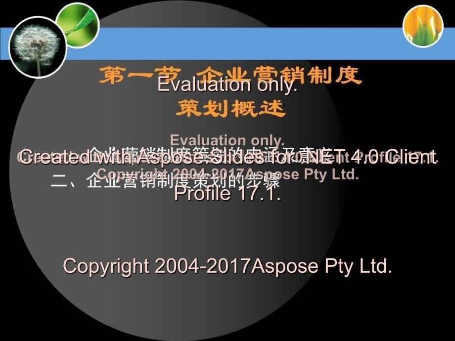 企业营销制度策划PPT课件_第5页