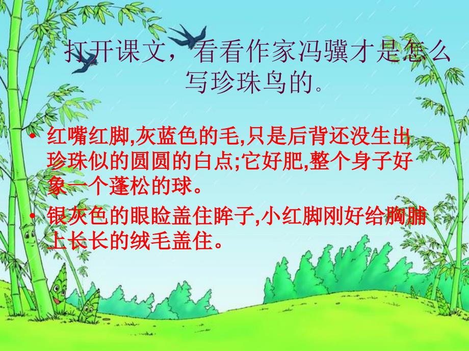 珍珠鸟 (2)_第4页