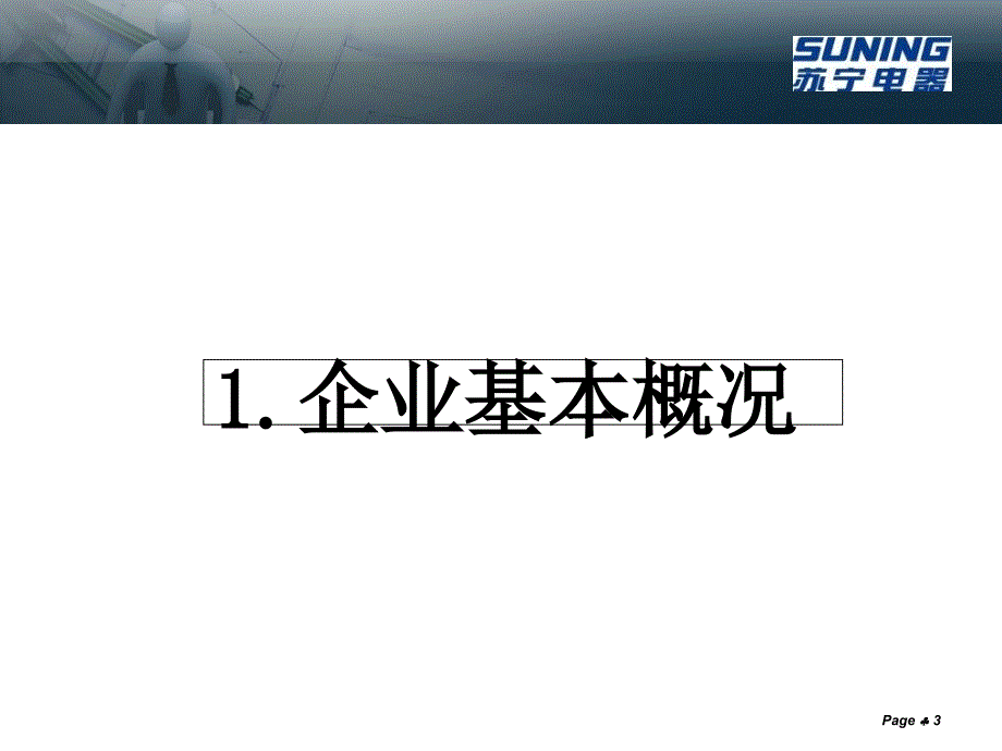 苏宁电器股份有限公司近三年财务报表分析报告课件_第3页