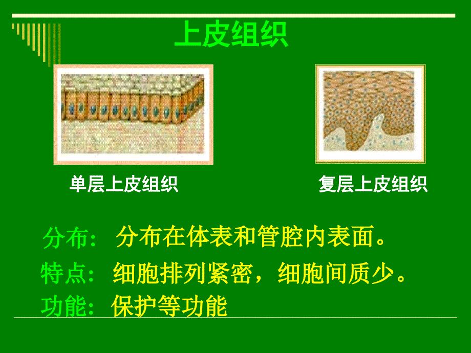 3、8、2人体和动物体的组成_第4页