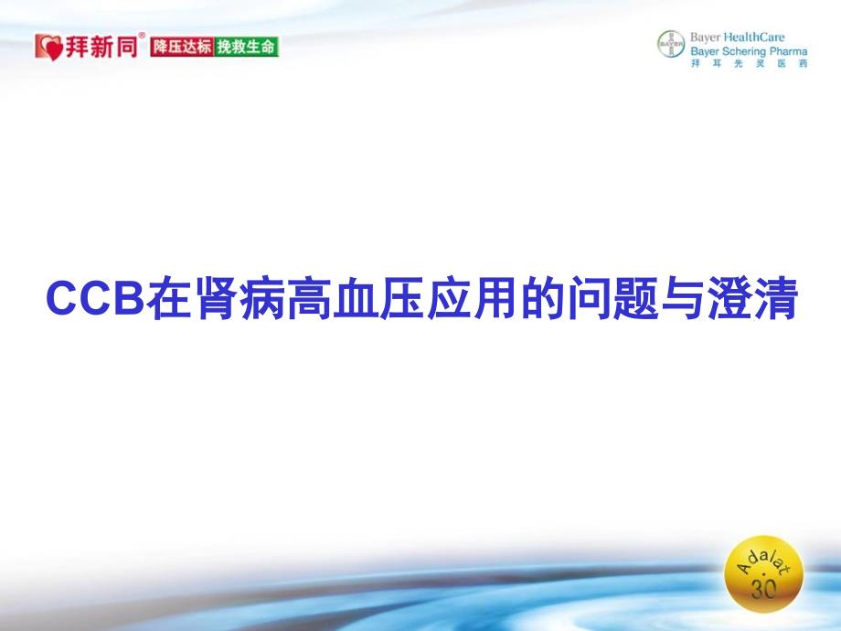 CCB在肾病高血压应用的问题与澄清名师编辑PPT课件_第1页