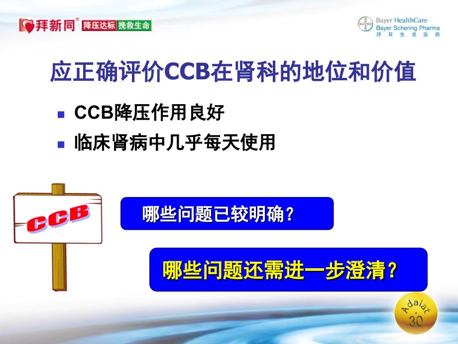 CCB在肾病高血压应用的问题与澄清名师编辑PPT课件_第2页