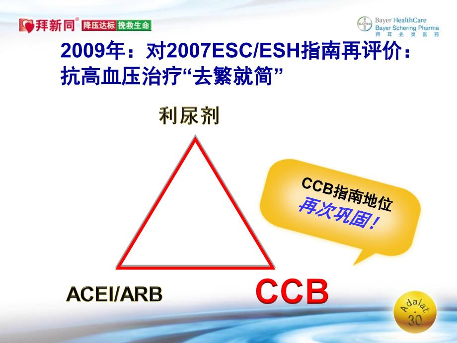 CCB在肾病高血压应用的问题与澄清名师编辑PPT课件_第4页