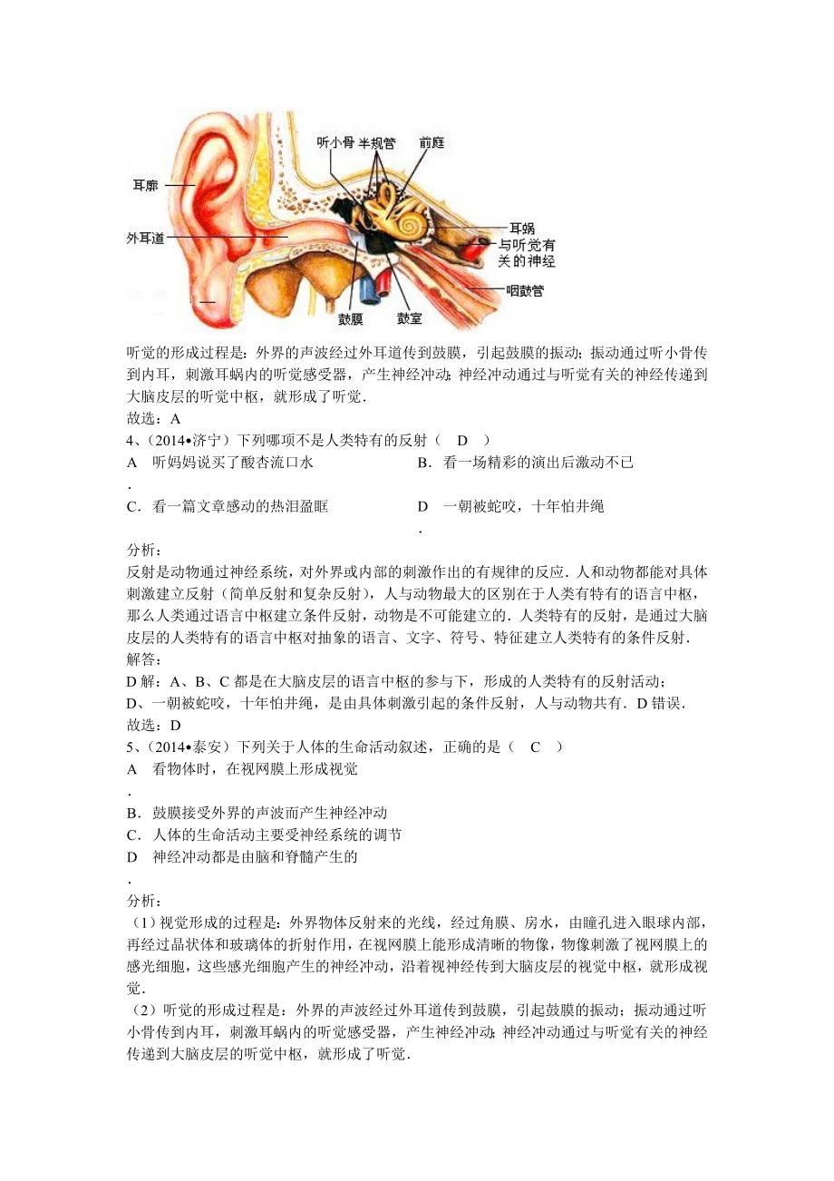 2014神经系统.doc_第2页