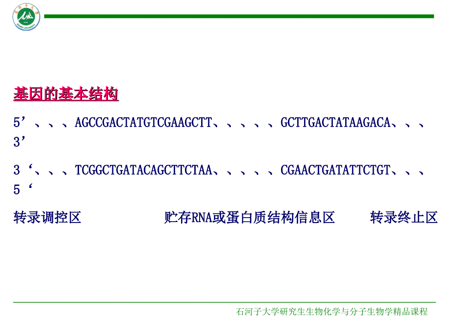 第三章基因组学_第4页