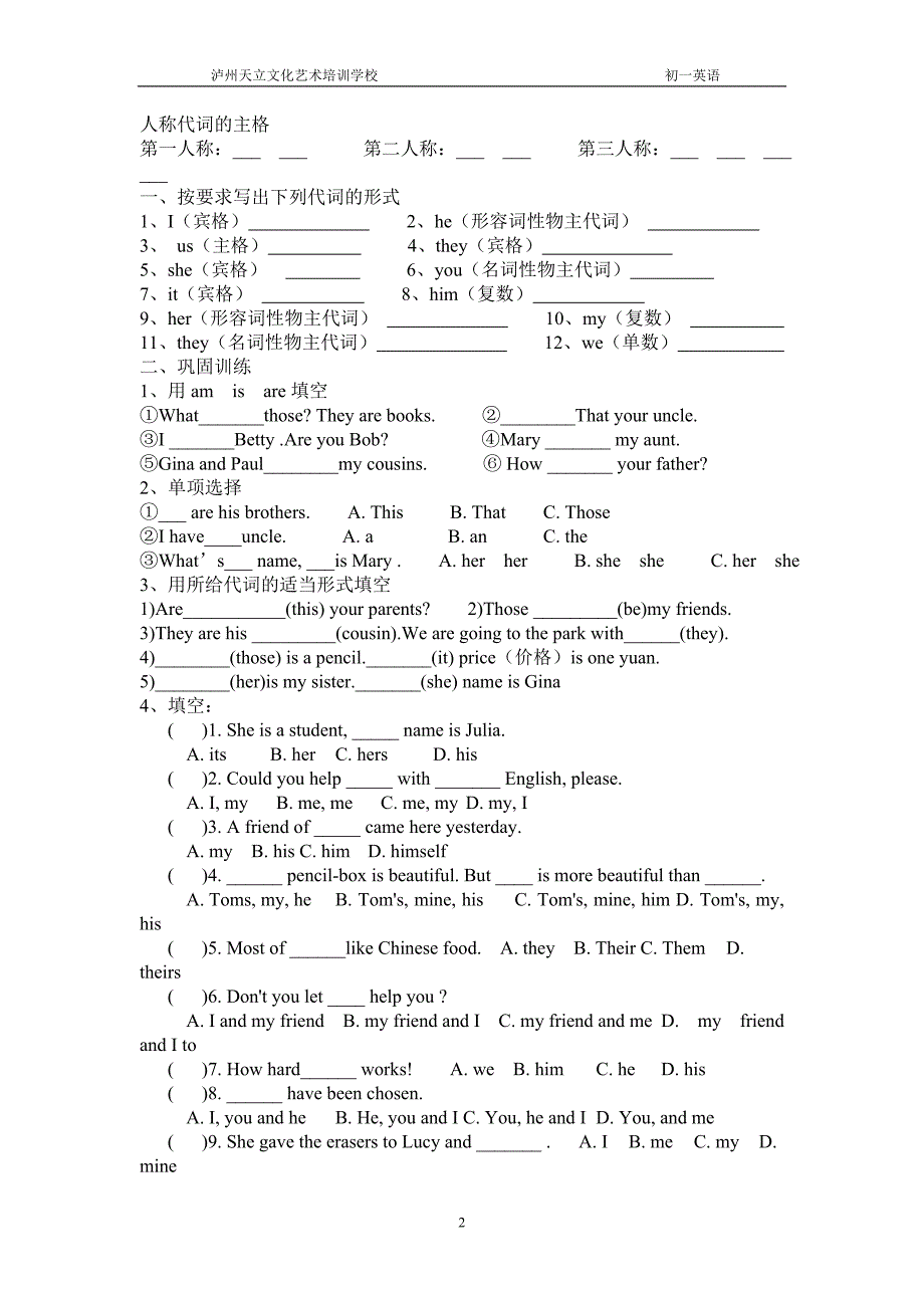 人称代词讲解与练习.doc_第2页