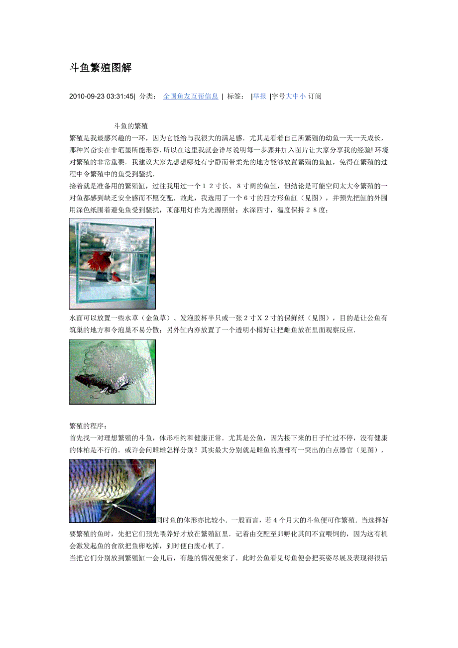 斗鱼繁殖图解.docx_第1页