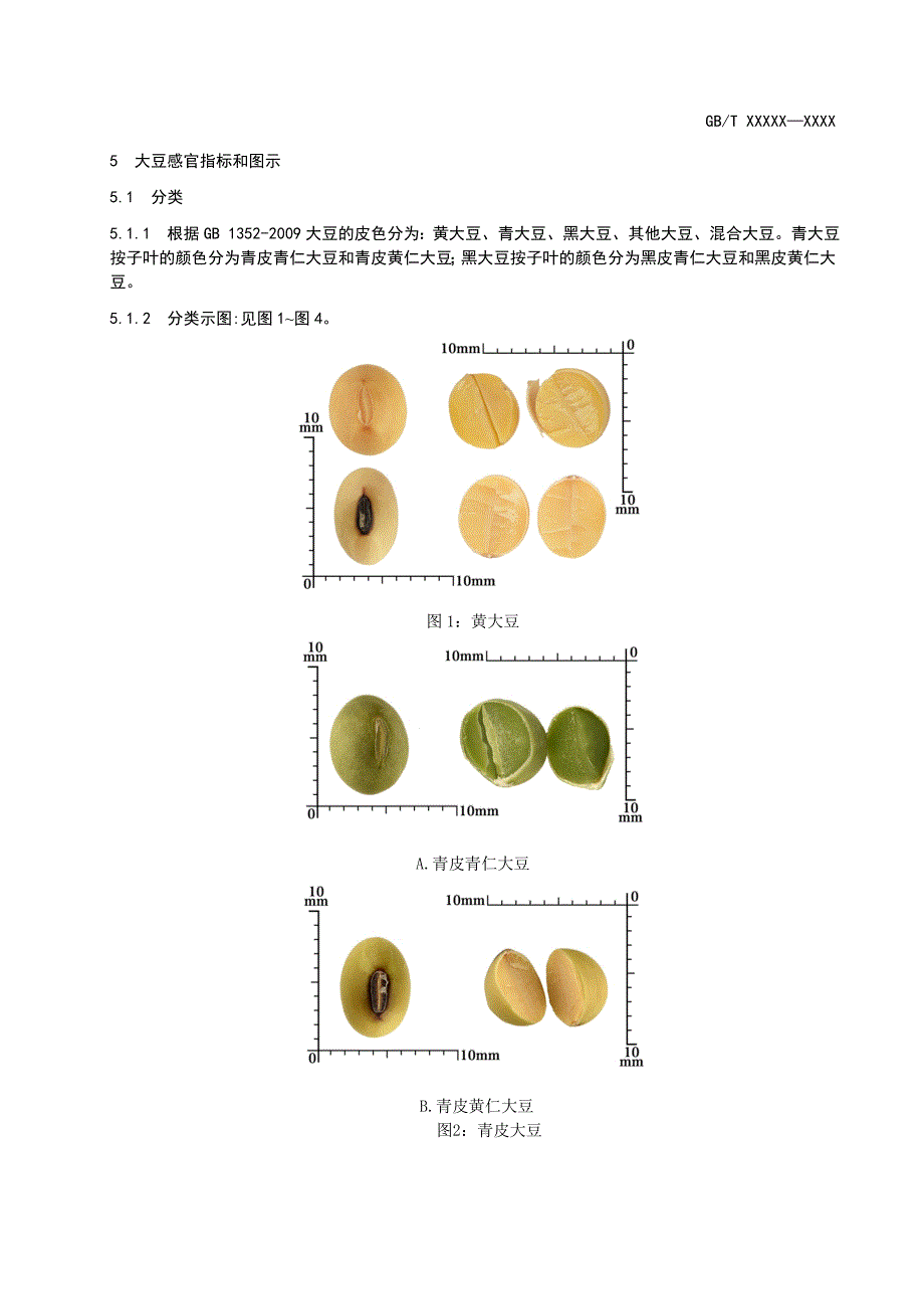 粮油检验-粮食感官检验辅助图谱 第4部分：油料 征求意见稿_第4页