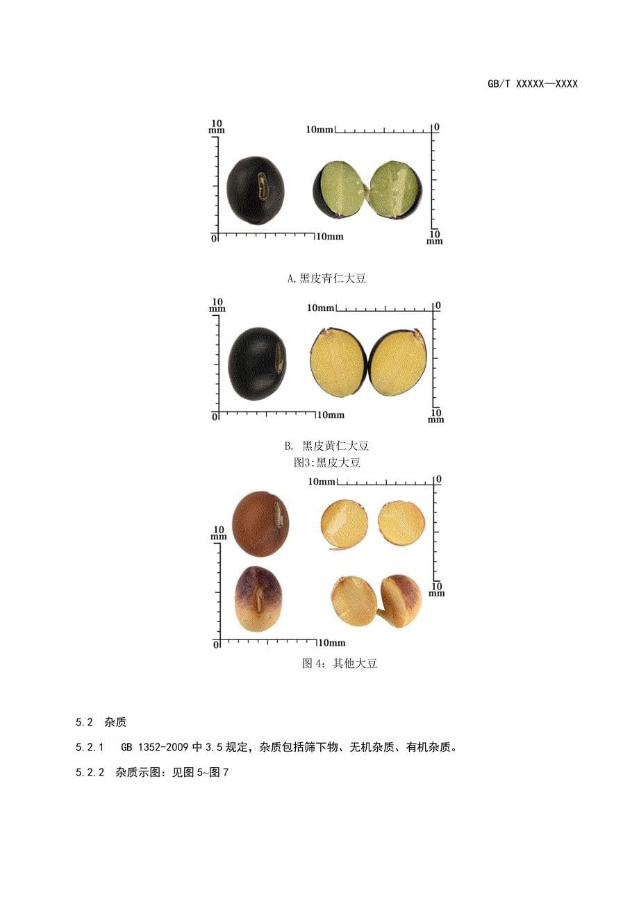 粮油检验-粮食感官检验辅助图谱 第4部分：油料 征求意见稿_第5页