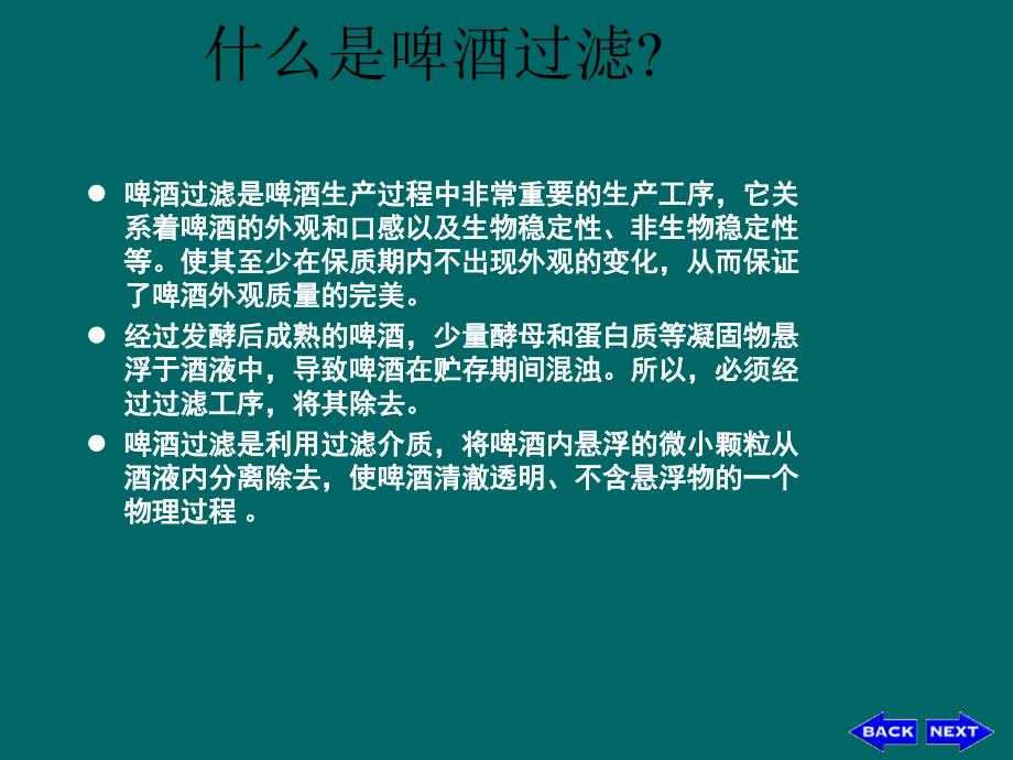 啤酒的过滤工艺_第2页