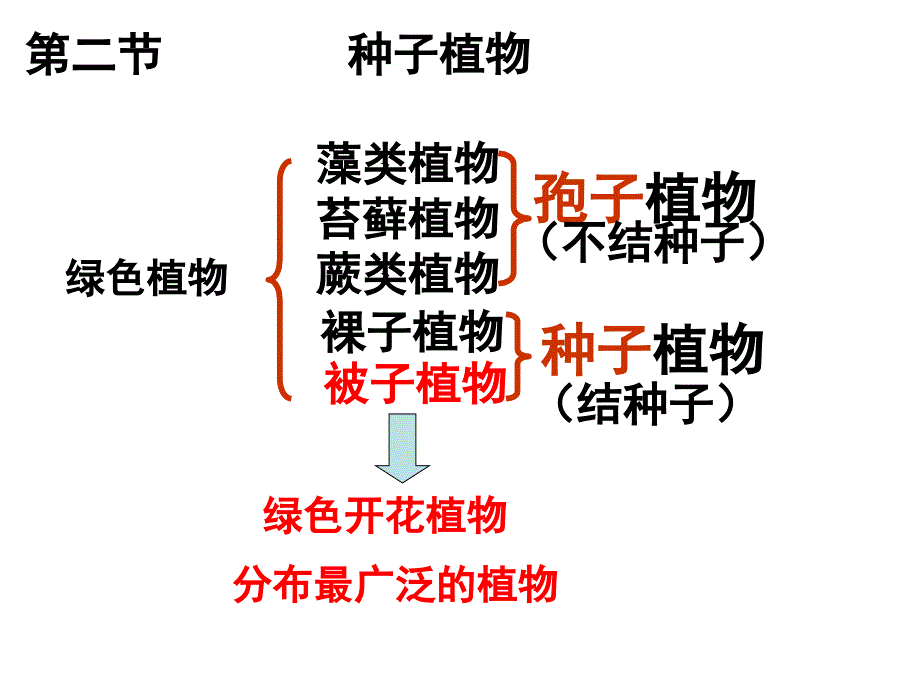 初中生物总复习植物_第3页