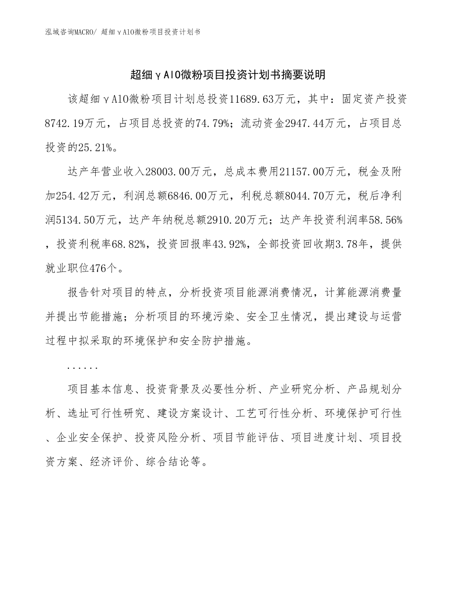 超细γAlO微粉项目投资计划书_第2页