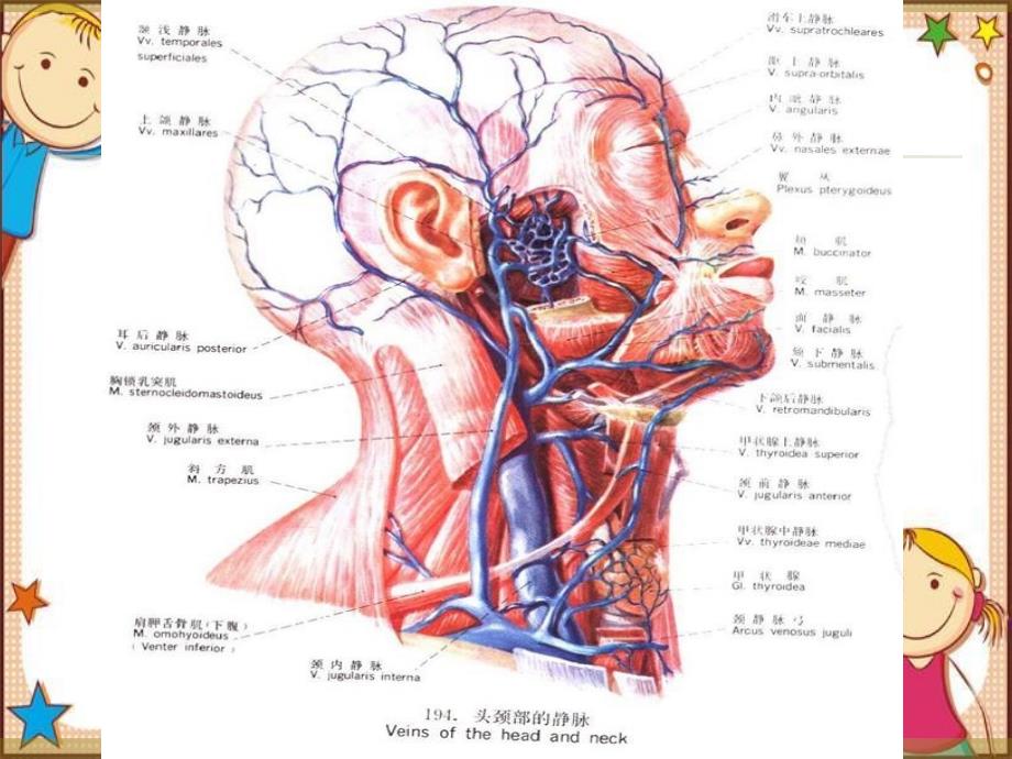 中心静脉穿刺置管及其临床意义_第2页