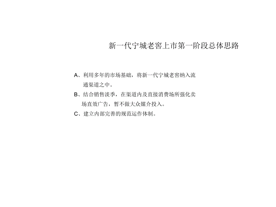 新一代宁城老窖上市执行手册_第4页