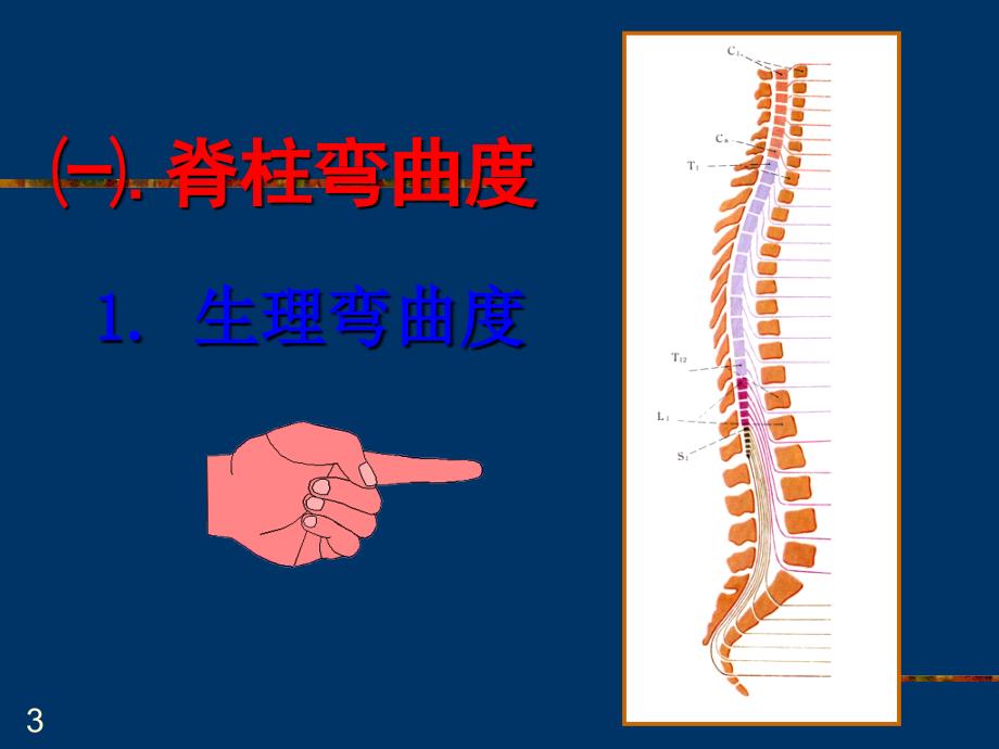 诊断学脊柱四肢检查ppt课件_第3页