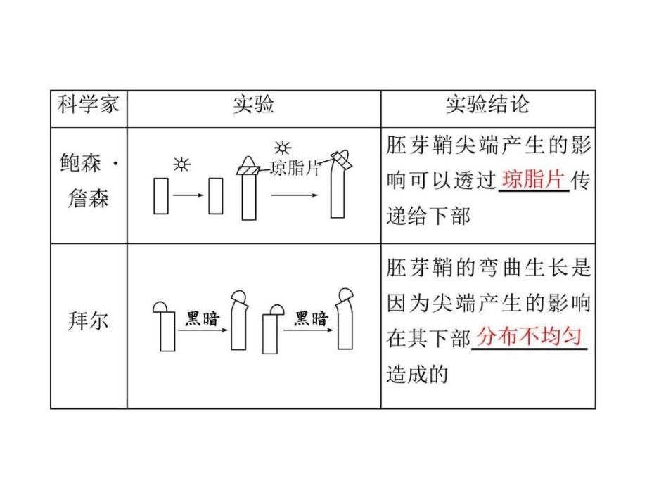 高三生物一轮复习课件必修3第二单元植物的激素_第2页