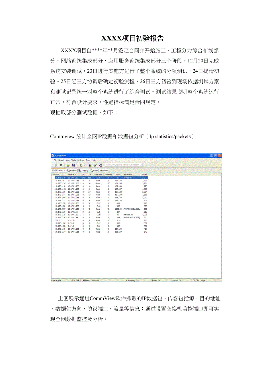 工程初验报告（天选打工人）.docx_第1页