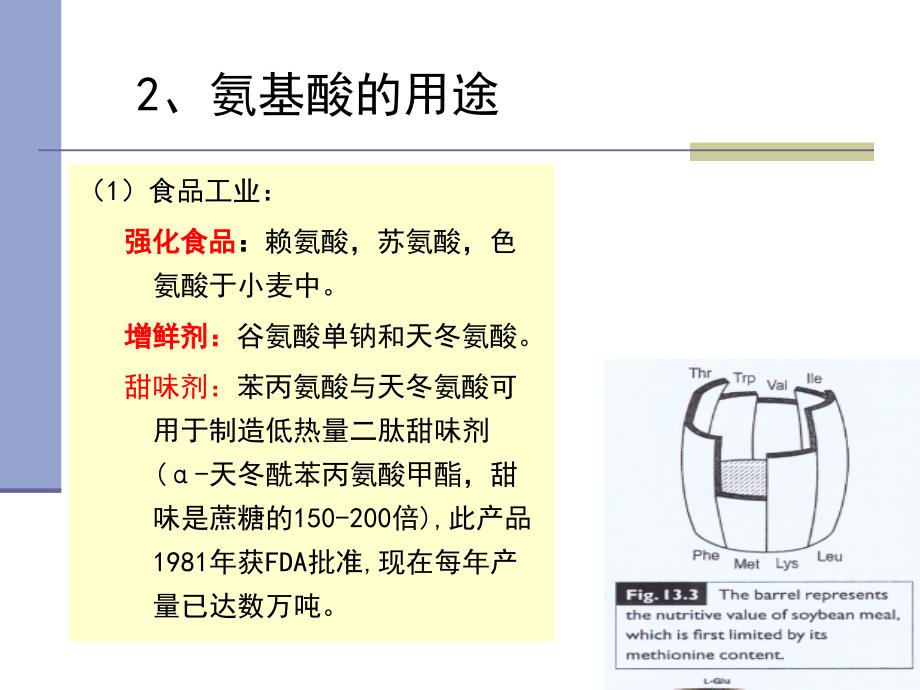 第十章氨基酸发酵_第4页