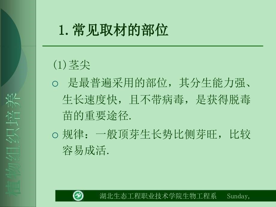 第四章外植体的选择和消毒_第5页