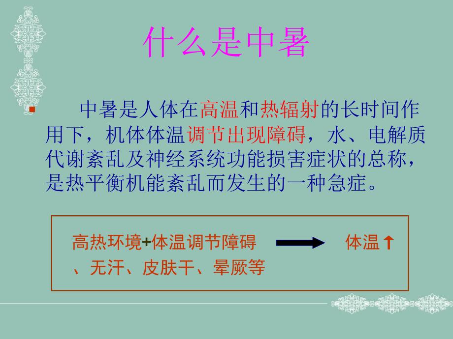 中暑的预防与急救PPT课件.ppt_第2页