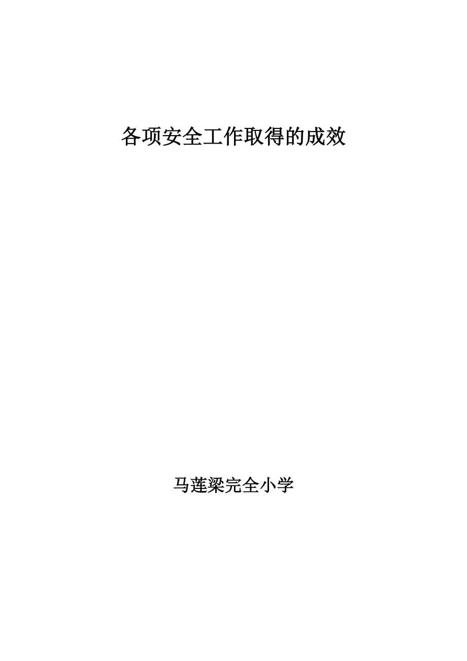 学校开展的各项安全工作及取得的成效5页.doc_第5页