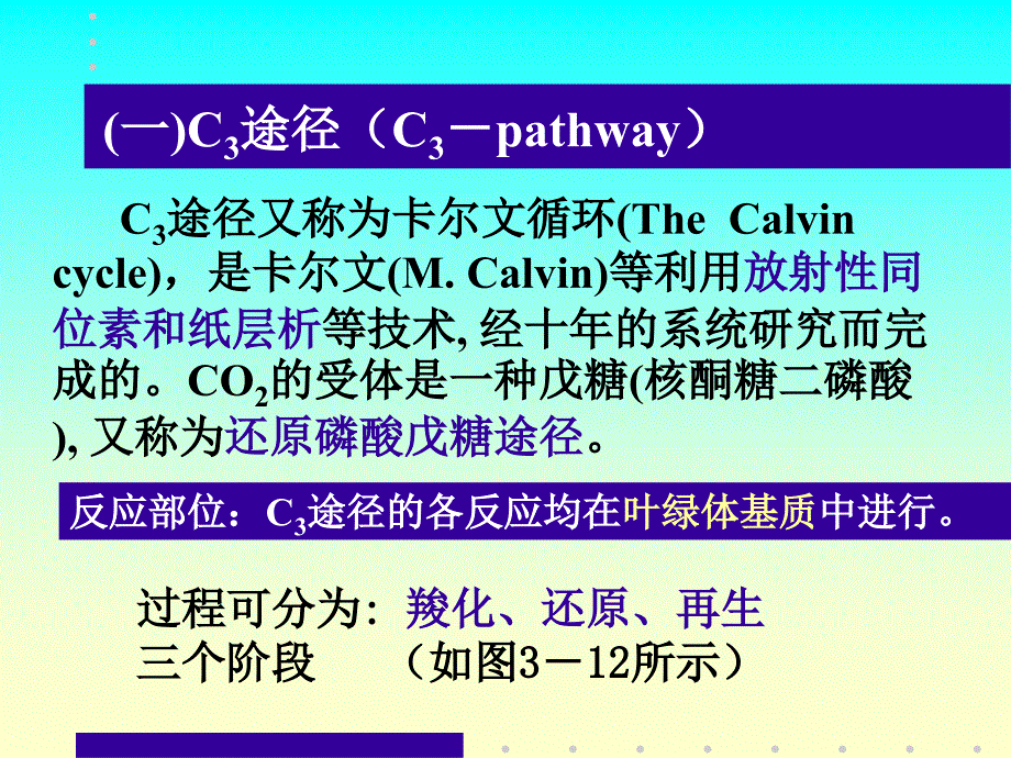 第三章光合作用ppt课件_第3页