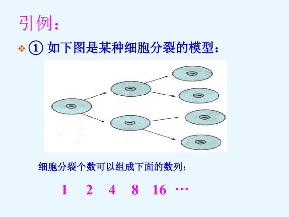 2.4.1等比数列第一课时课件_第3页