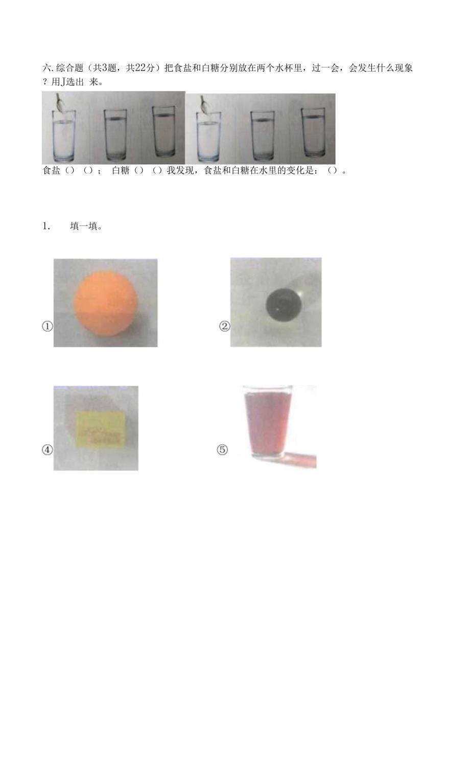 新教科版一年级下册科学期末测试卷精品(全国通用).docx_第5页