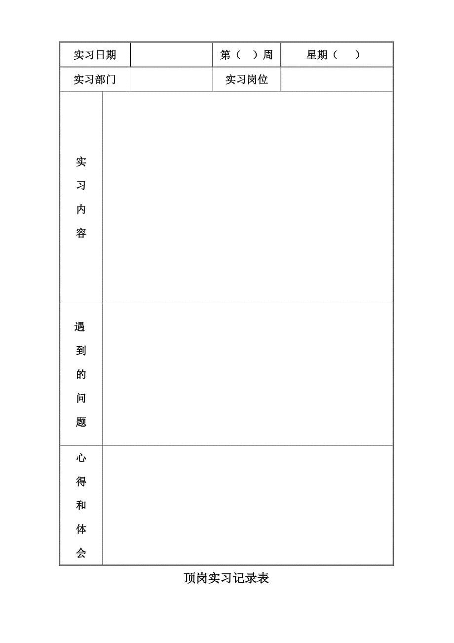 个性化教育顶岗实习报告.doc_第5页