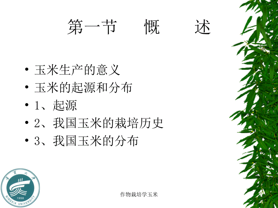 作物栽培学玉米课件_第3页