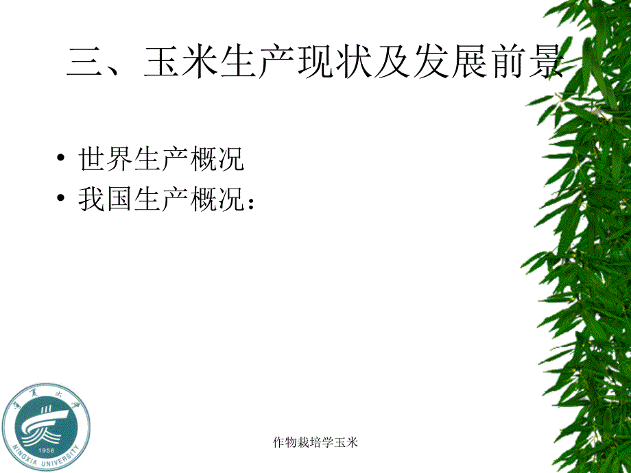 作物栽培学玉米课件_第4页