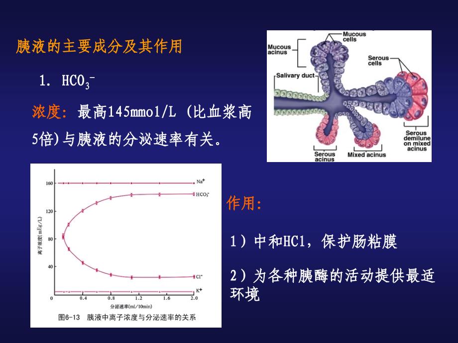 小肠内消化PPT课件_第4页